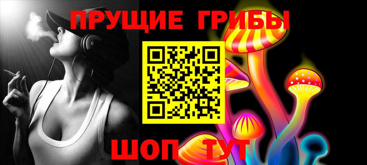 Горячий Ключ  Псилоцибиновые грибы Psilocybine cubensis  Вход с VPN 
